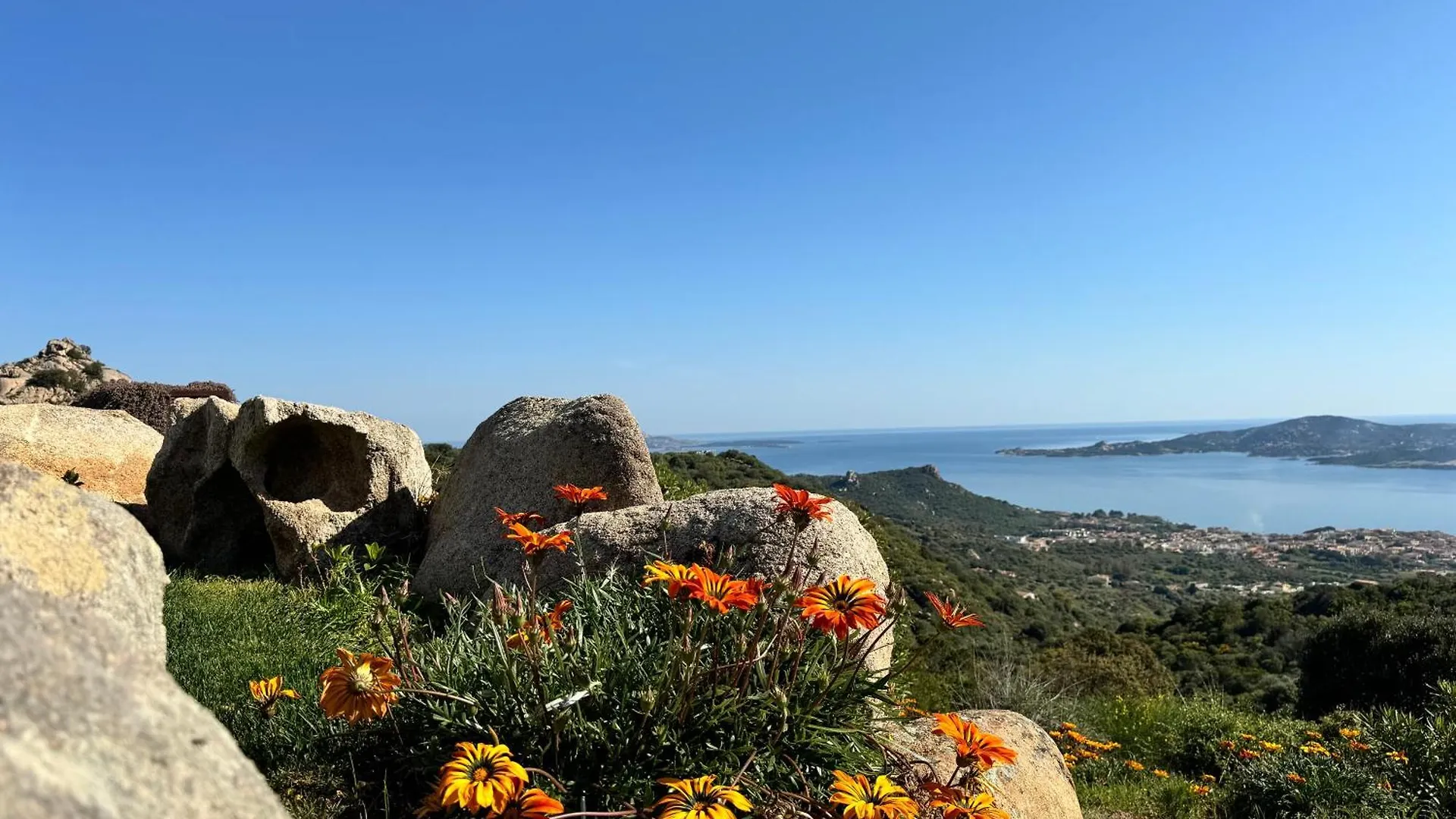 Villa Amaca con piscina a sfioro riscaldata e vista mozzafiato sulla Costa Cannigione
